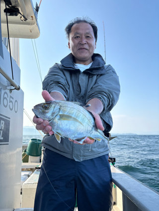 カイワリ