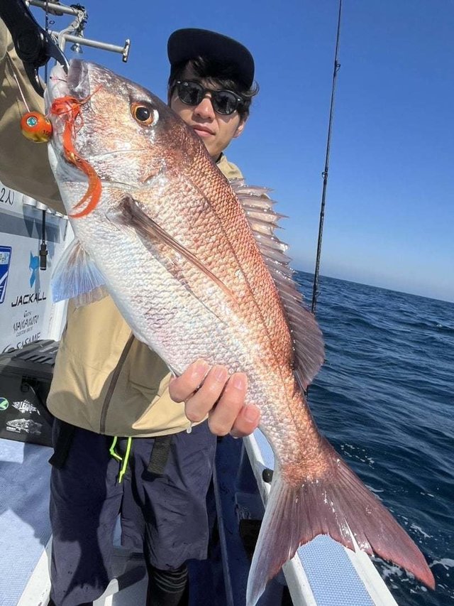 マダイ
