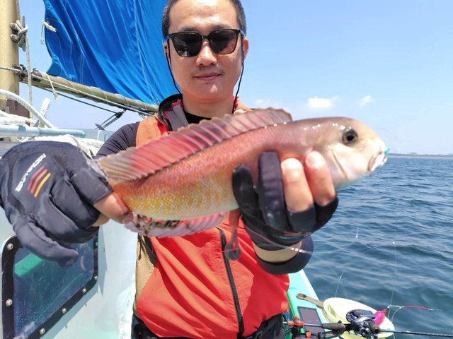 シロアマダイ