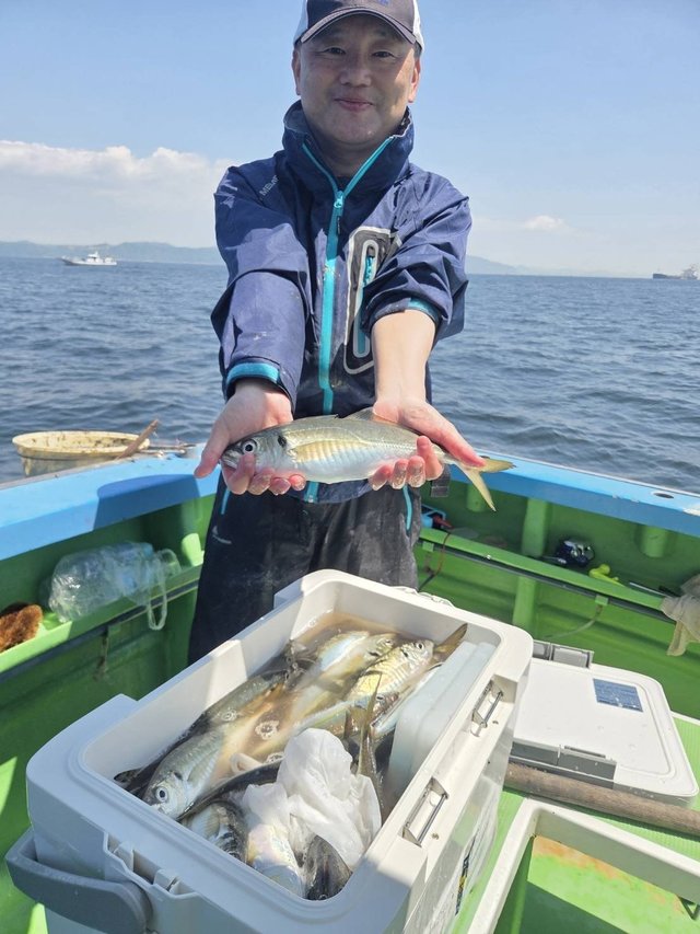 アジ(マアジ)