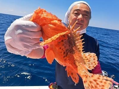オニカサゴ