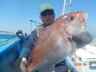 マダイ