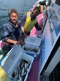 アジ(マアジ)