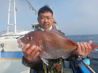 マダイ