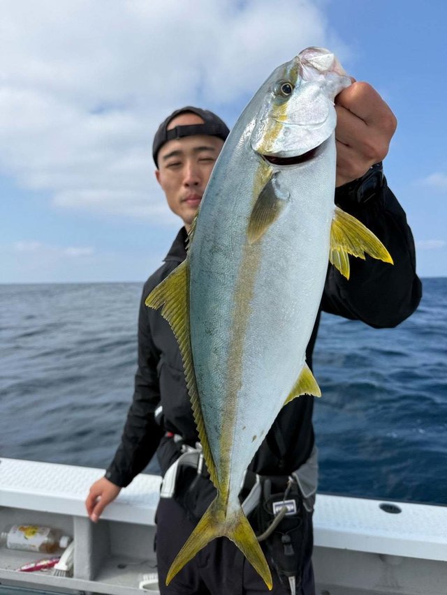 ヒラマサ