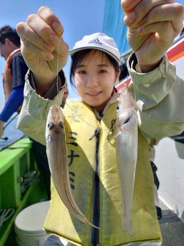 シロギス