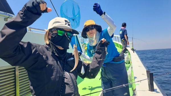シロギス