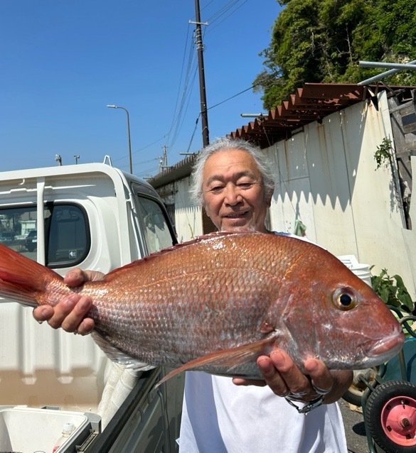 マアジ