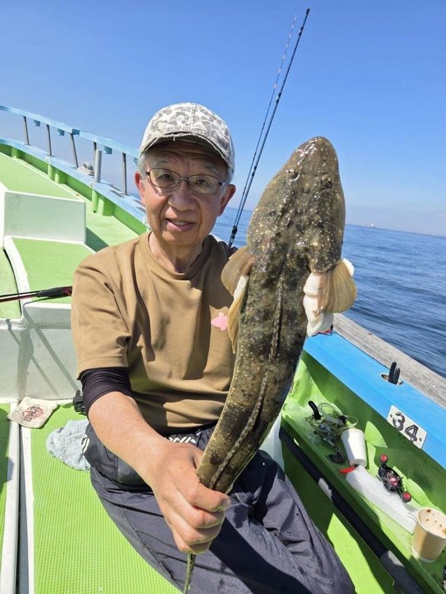 マゴチ