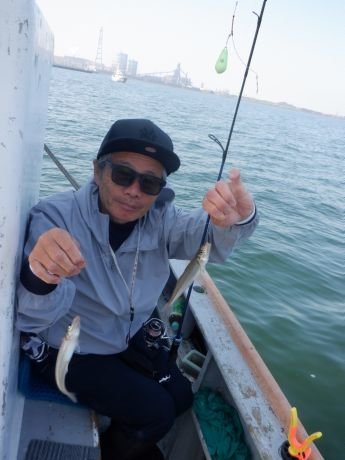 シロギス
