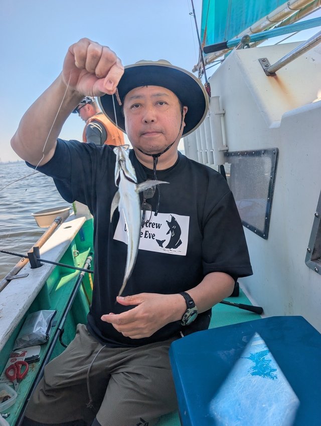 アジ(マアジ)