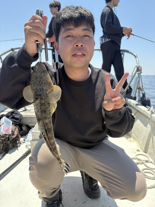 マゴチ