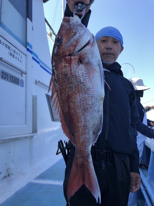 マダイ