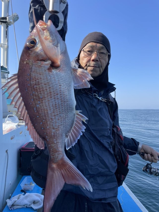 マダイ