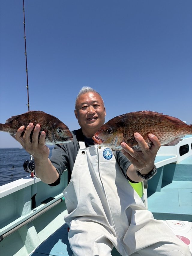マダイ