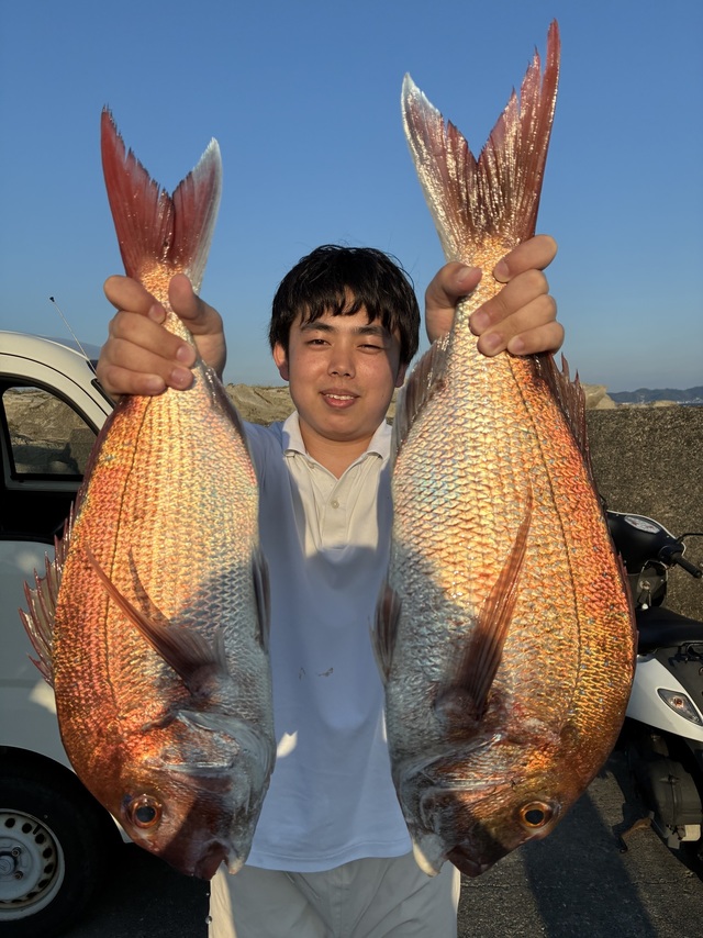 マダイ