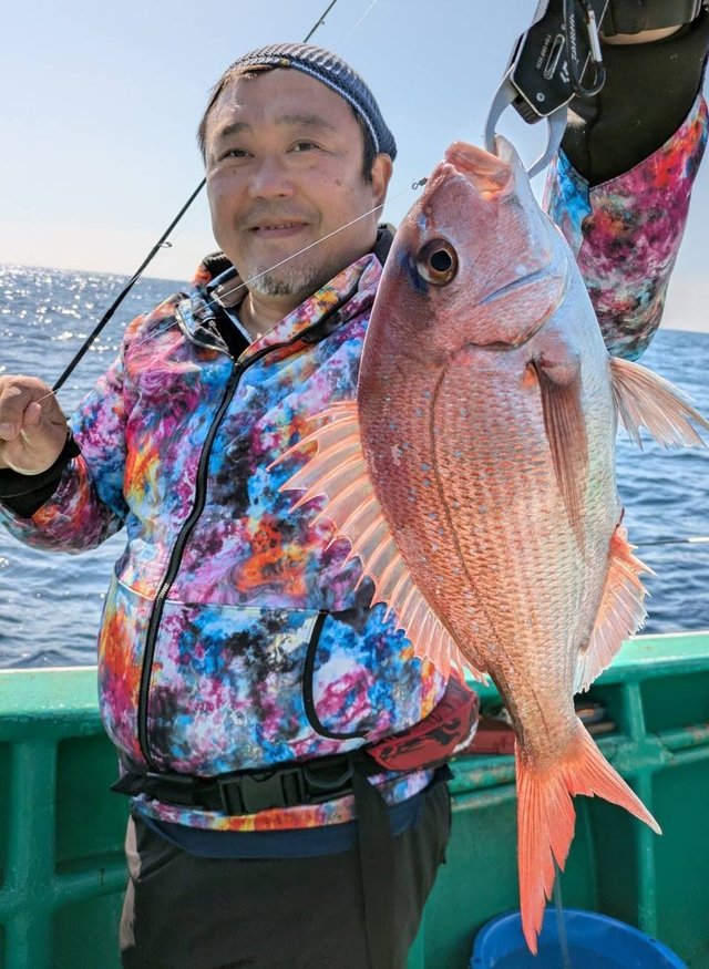 マダイ