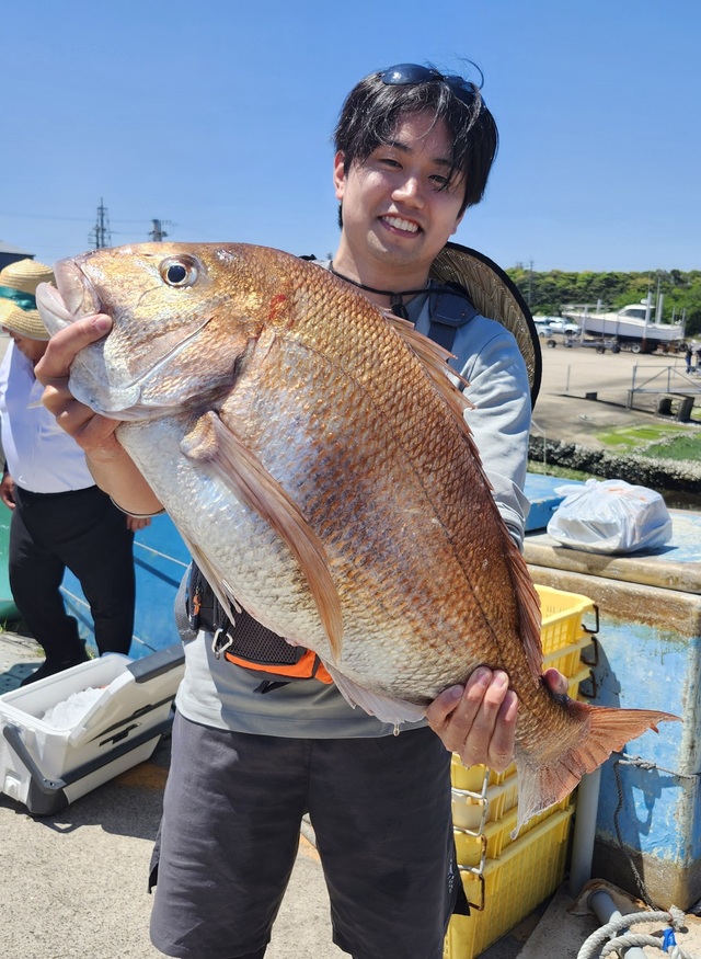 マダイ