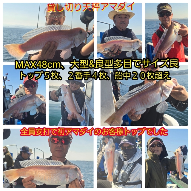 シロアマダイ