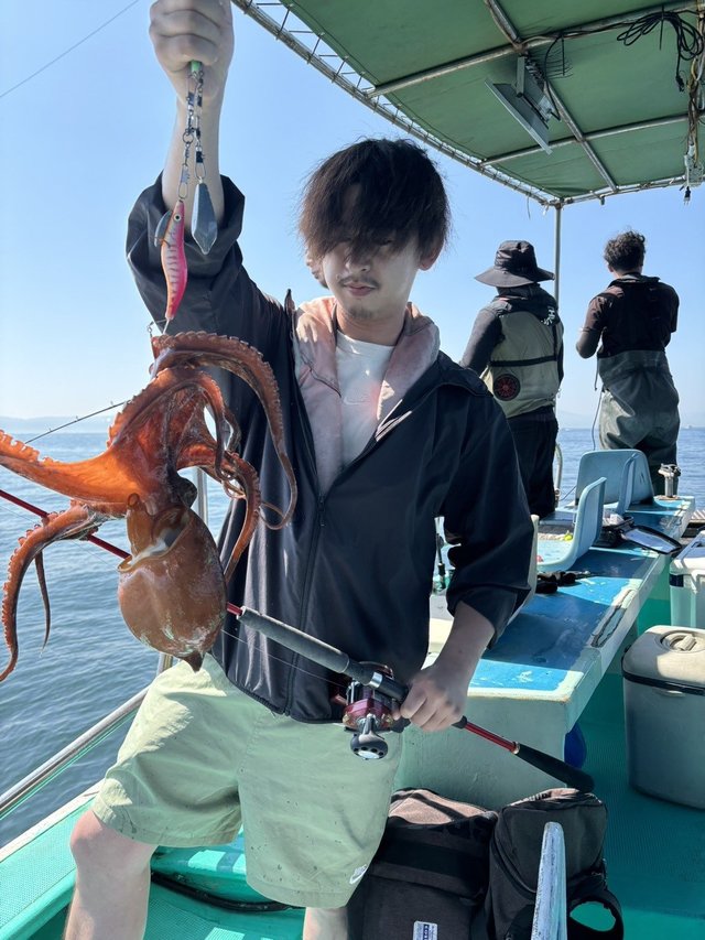 マダコ