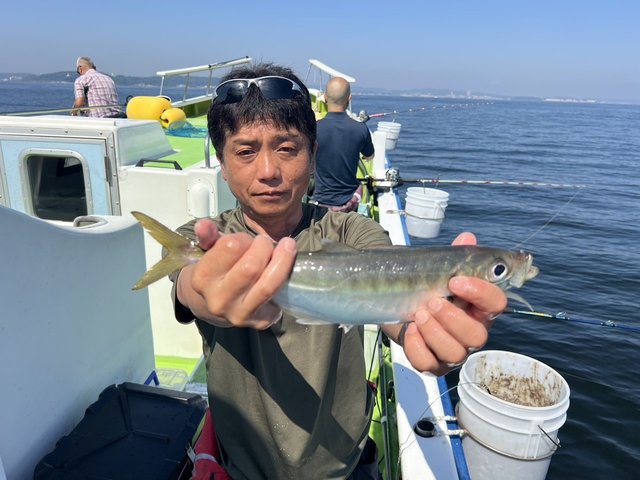 アジ(マアジ)