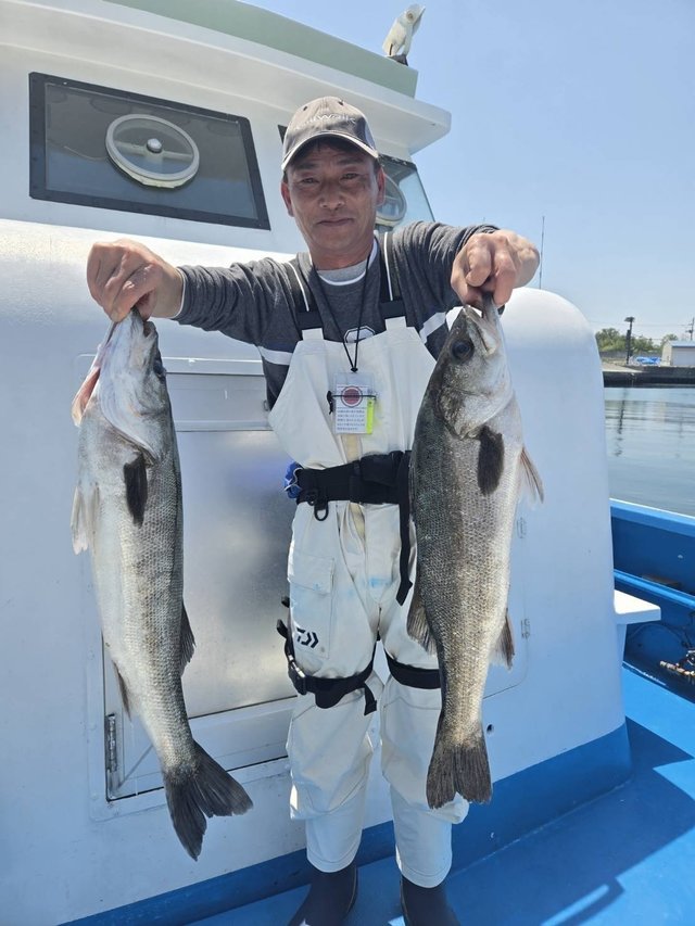 シーバス(スズキ)