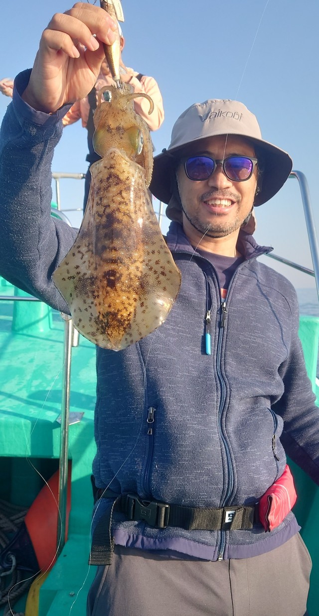 アオリイカ