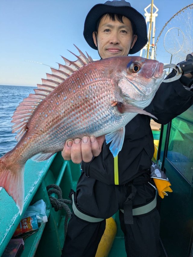 マダイ