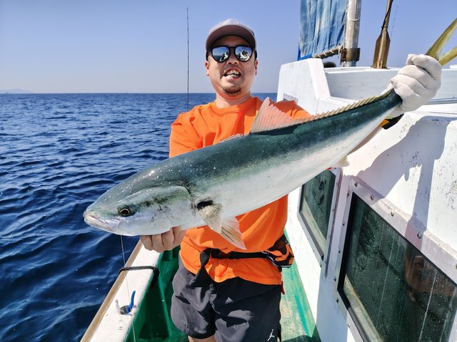 メジロ(ブリ)