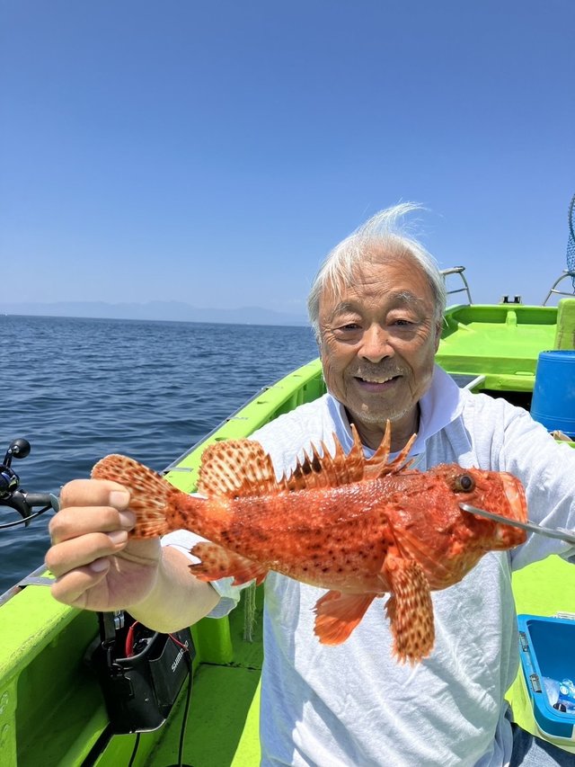 オニカサゴ