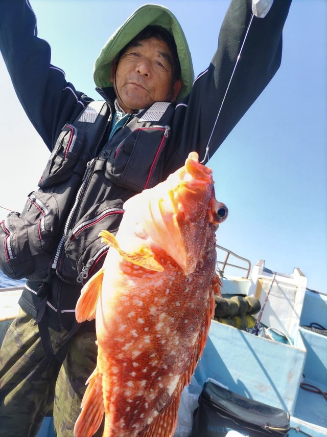 ウッカリカサゴ