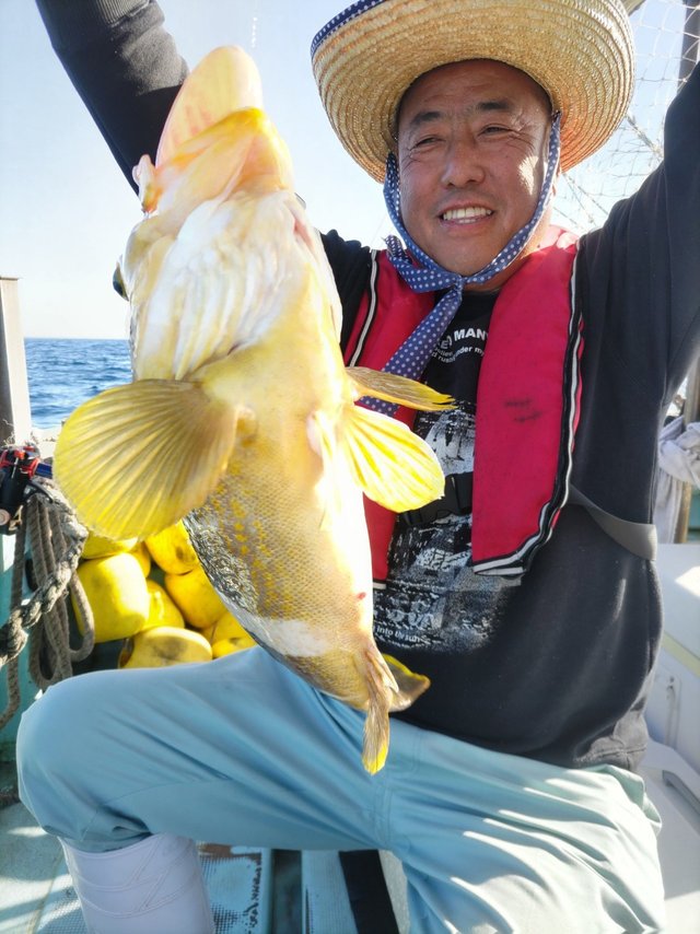 アオハタ