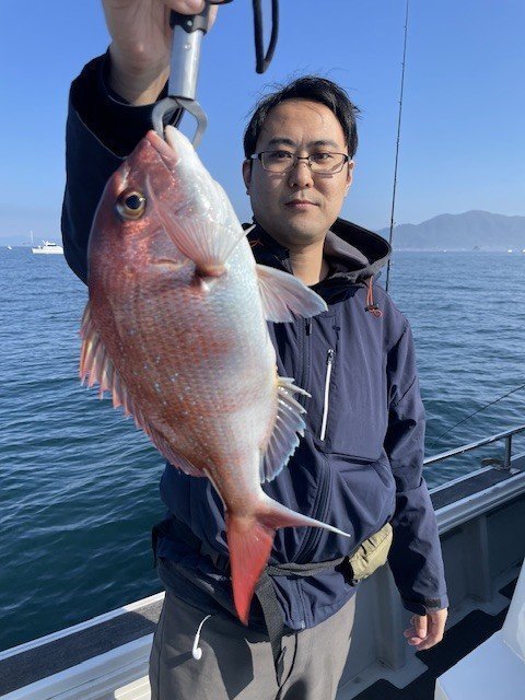 マダイ
