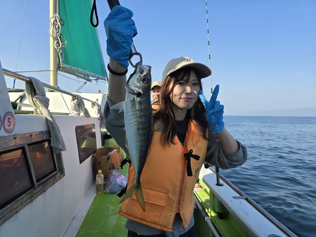 アジ(マアジ)