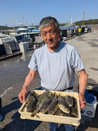 ショウサイフグ