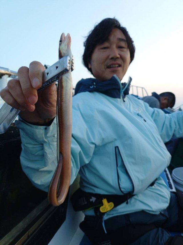 アナゴ(マアナゴ)