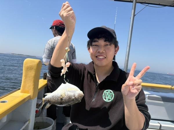 ショウサイフグ