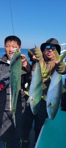 イナダ(ブリ)