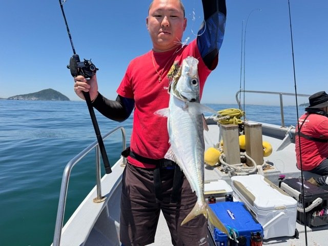 アジ(マアジ)