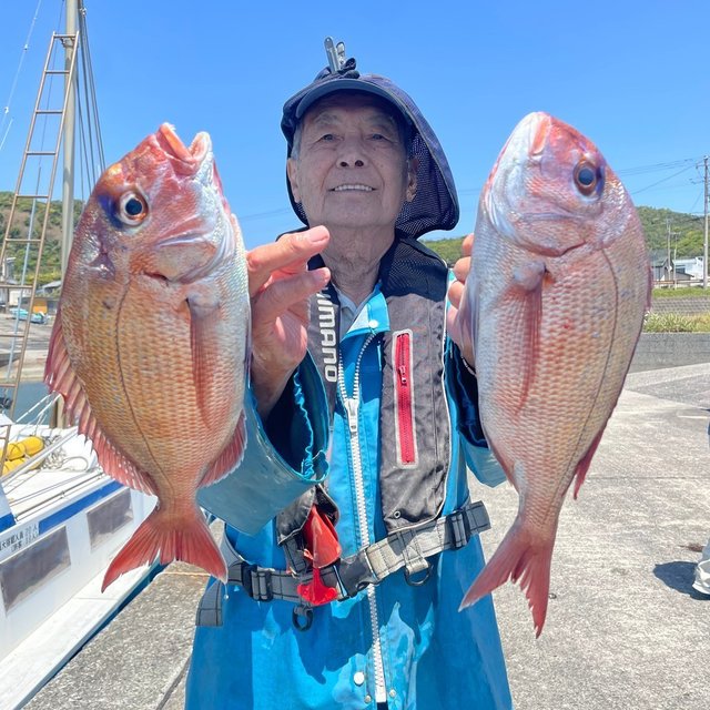 マダイ