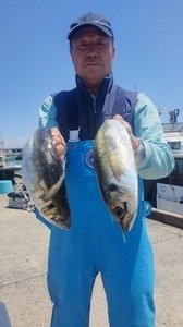 アジ(マアジ)