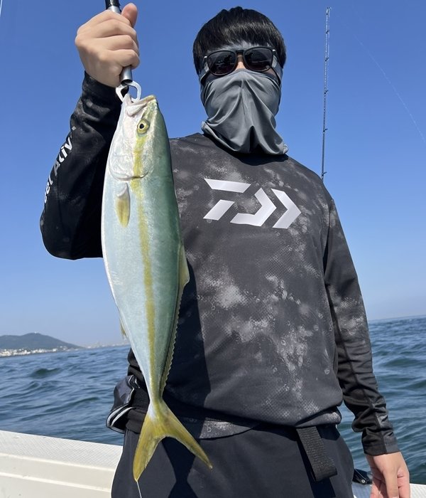ハマチ(ブリ)