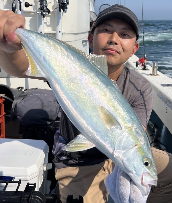 ハマチ(ブリ)