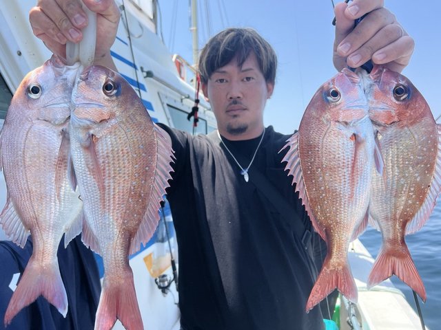 マダイ