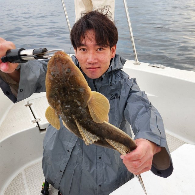 マゴチ