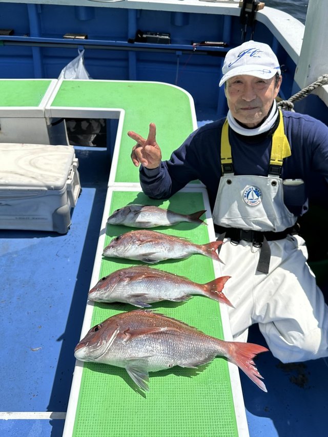 マダイ