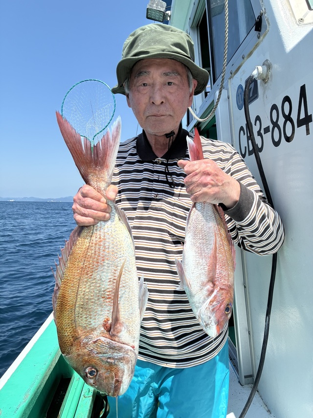 マダイ
