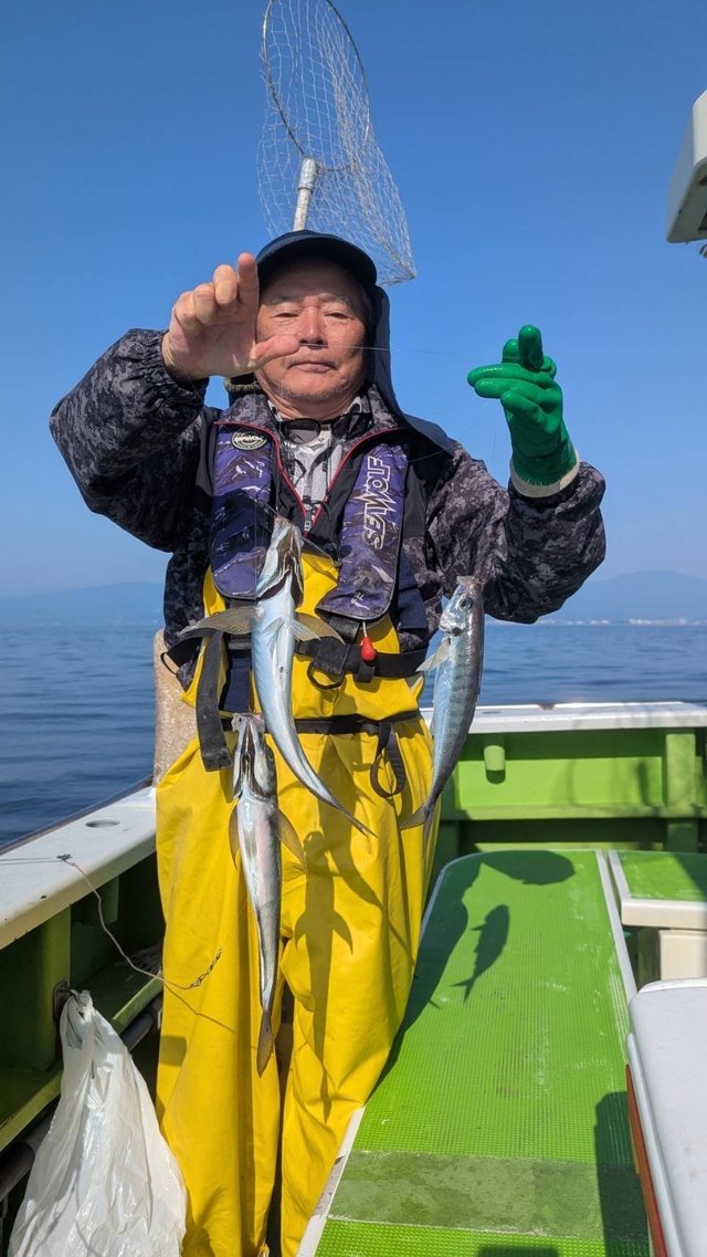 アジ(マアジ)