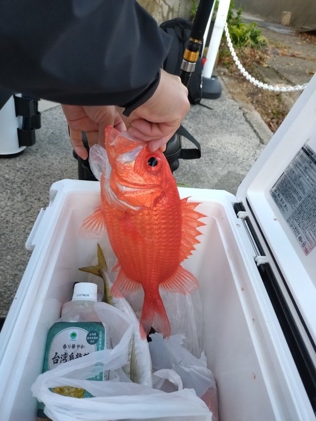 エビスダイ