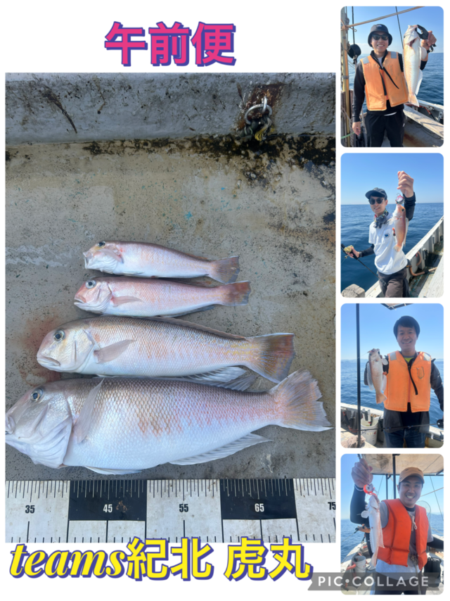シロアマダイ